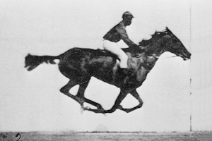Muybridge_race_horse_animated - WikiPedia