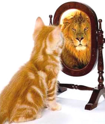self-esteem-kitten-lion